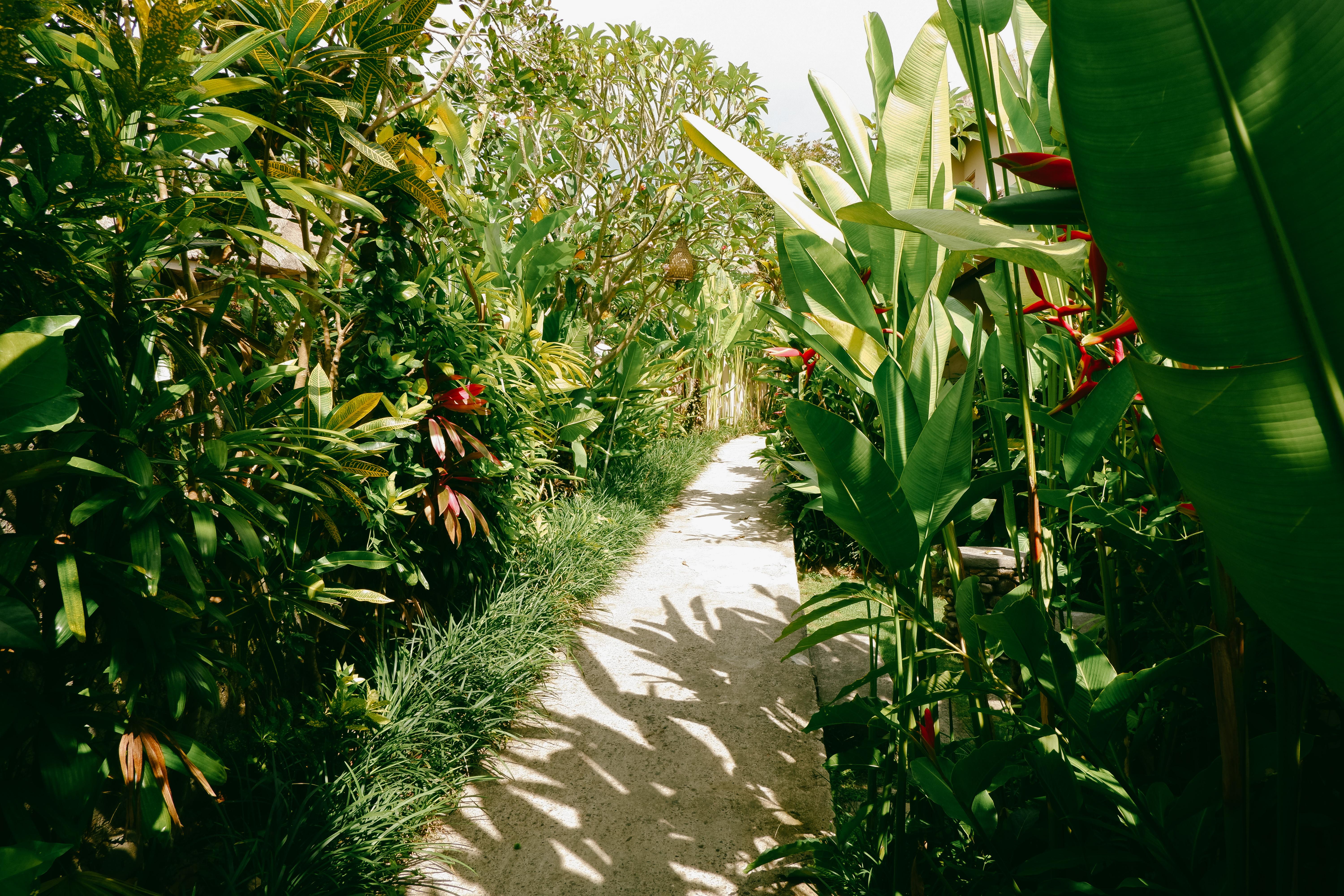 Mesari Hotel Ubud Exterior photo