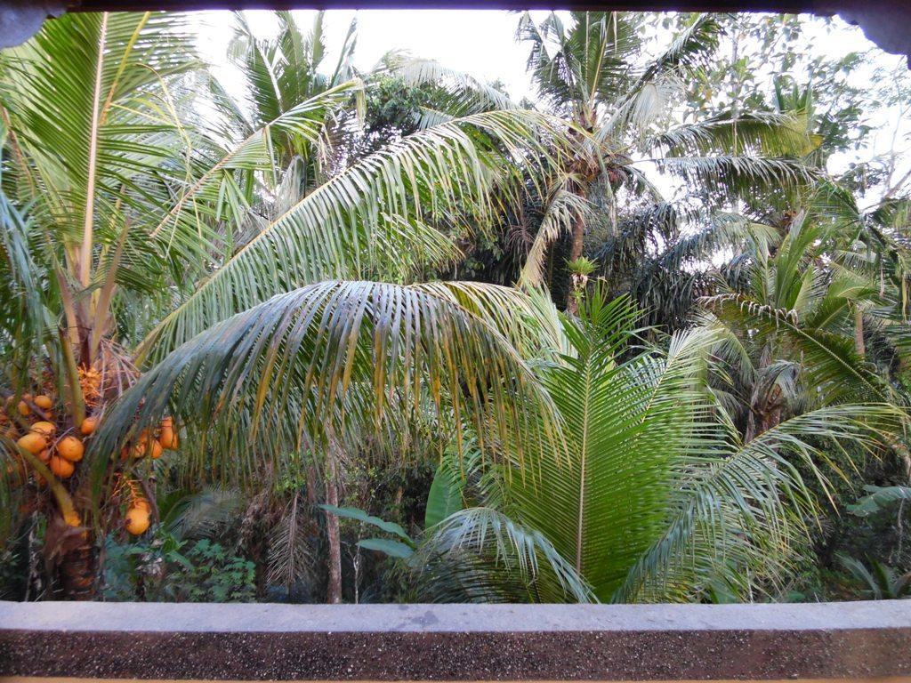 Mesari Hotel Ubud Exterior photo