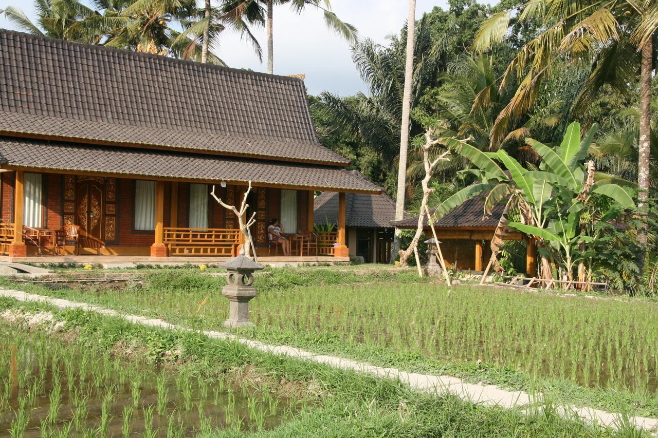 Mesari Hotel Ubud Exterior photo